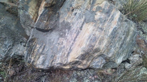 Гигантские зелёные валуны для ландшафтного дизайна весом более 5 тонн купить в Самарской области