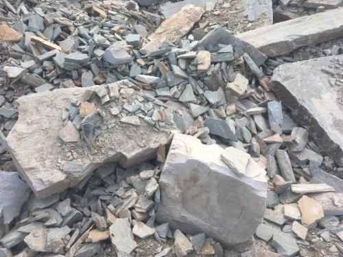 златолит серо-голубой для ландшафтного дизайна